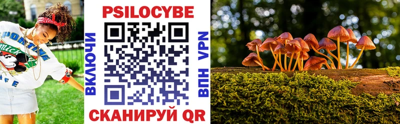 Галлюциногенные грибы прущие грибы  Новый Оскол 